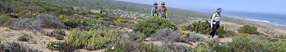 Karoo Geology